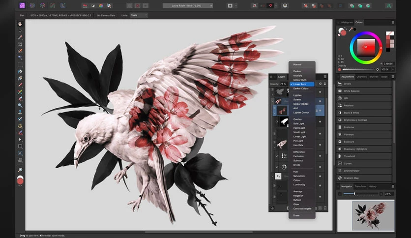 692542563dc0b-affinity-by-canva-screenshot1