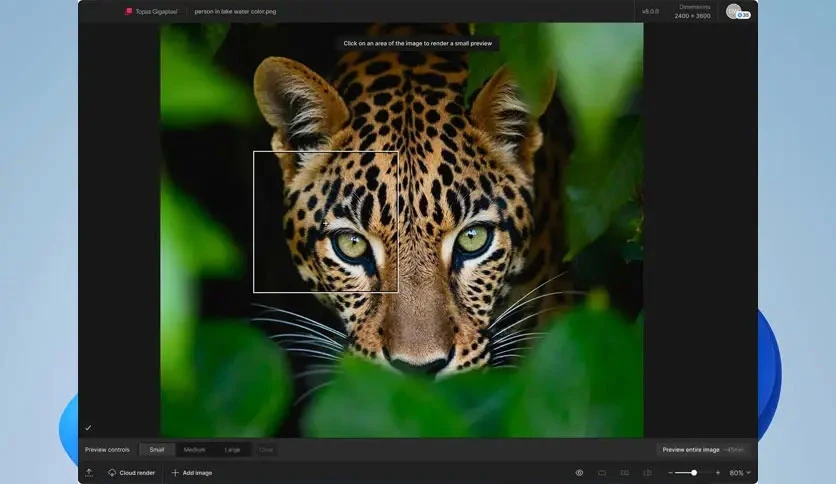 68de09f3c7b42-topaz-gigapixel-pro-screenshot3