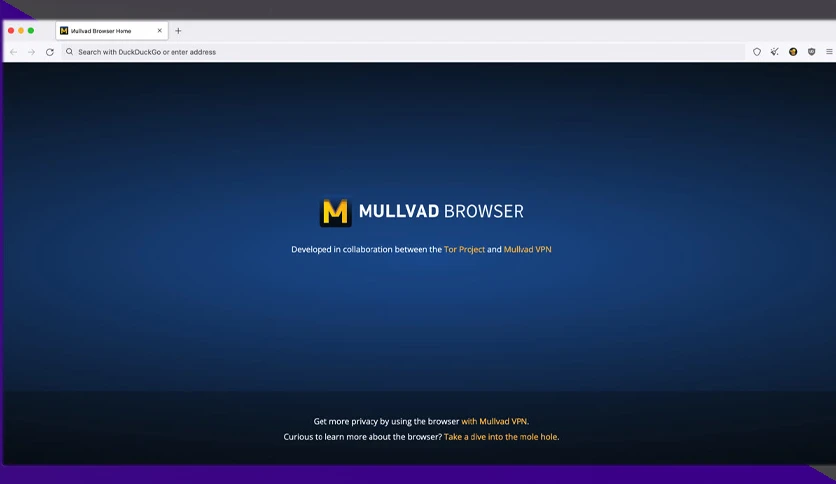 658431c653dc2-mullvad-browser-screenshot1