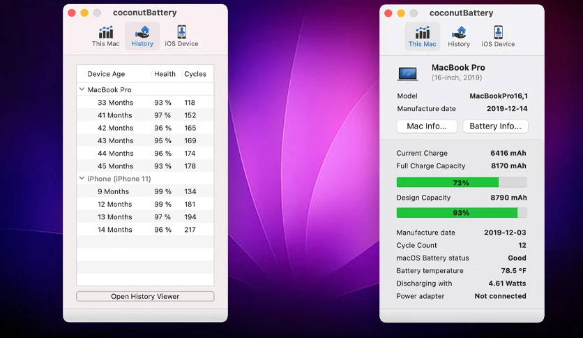 65643f760a5a4-coconutbattery-screenshot1