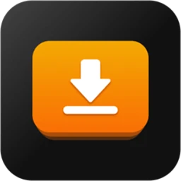 iDownerGo Pro for Mac [多功能视频下载器，可保存任何视频和音乐]