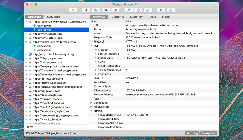 656837fbd0e07-charles-web-debugging-proxy-screenshot1