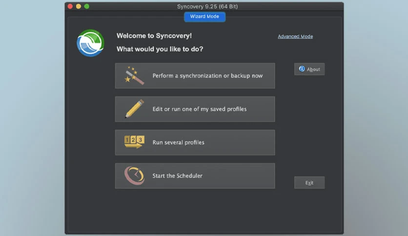 66b466859f64e-syncovery-professional-screenshot2