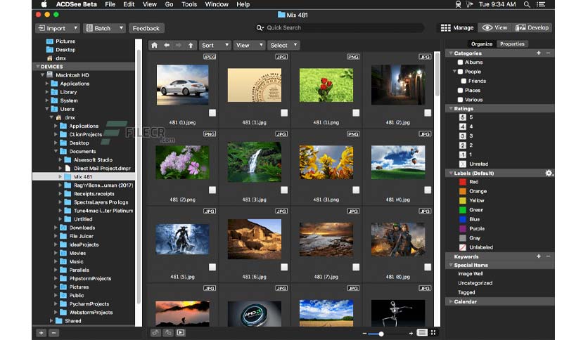 acdsee-photo-studio-free-download-01