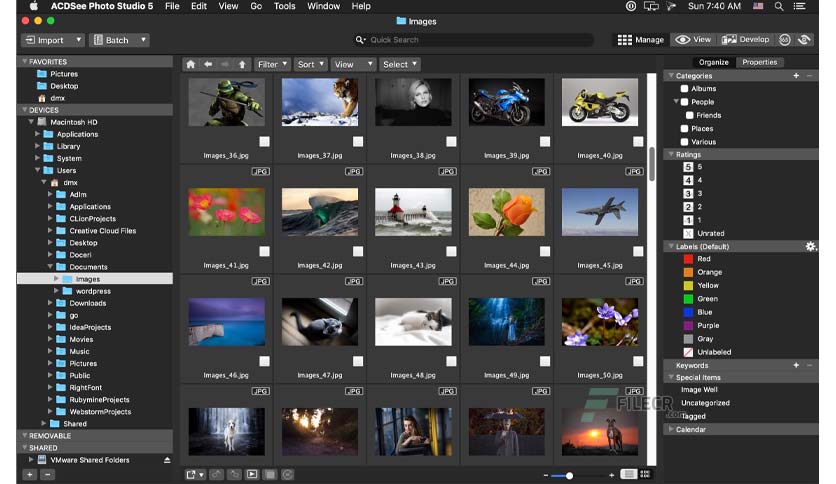 acdsee-photo-studio-free-download-02
