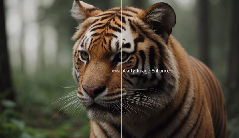 677cdac75b6c7-aiarty-mac-image-enhancer-screenshot3