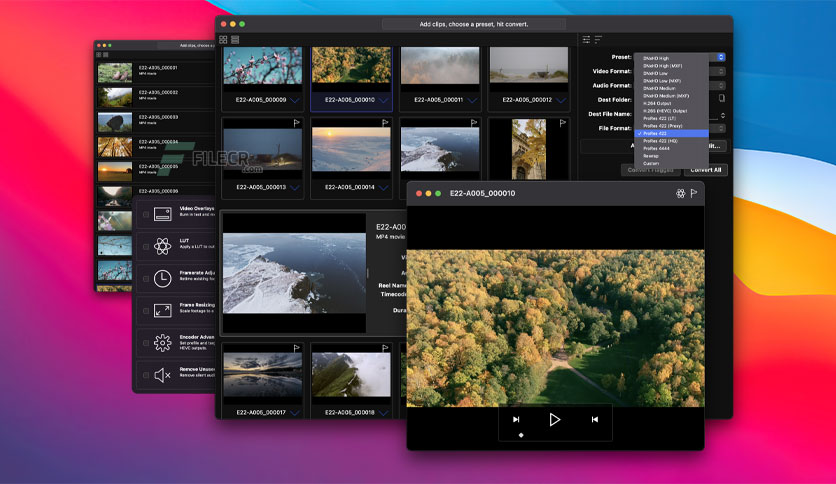 editready-for-macos-free-download-02