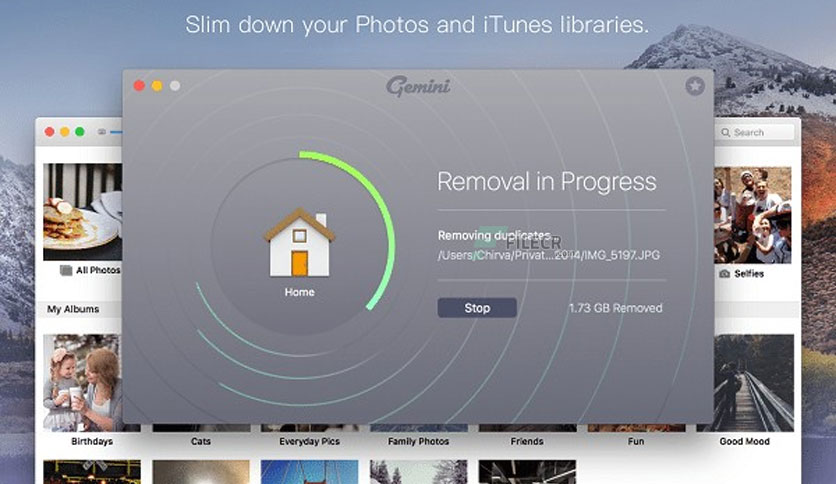 gemini-for-macos-free-download-02