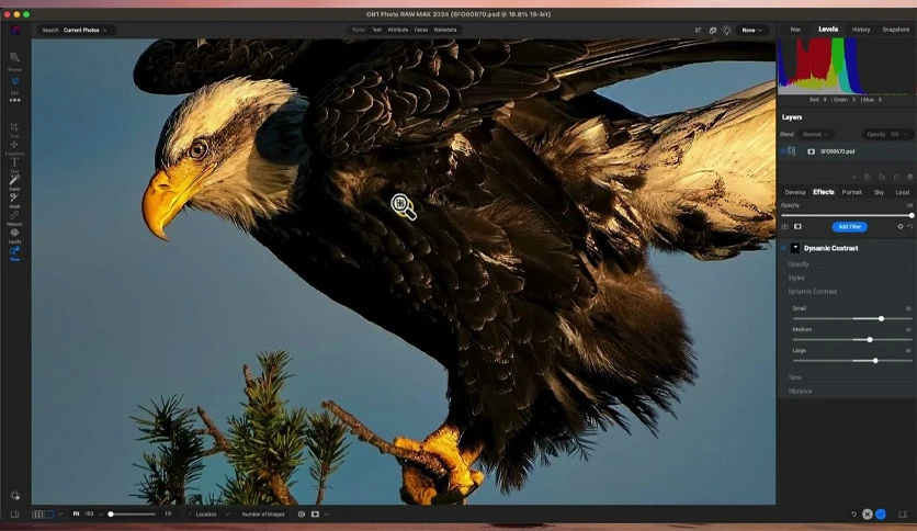 6544db40ae4e1-on1-photo-raw-max-screenshot2