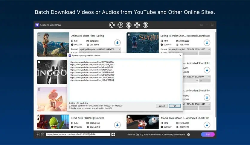 695cf4717d56c-cisdem-videopaw-for-mac-screenshot1