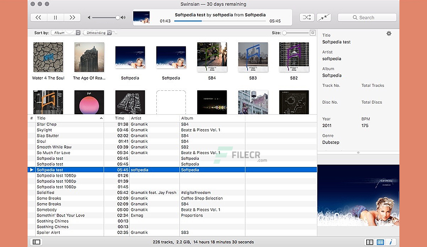 swinsian-for-macos-free-download-01