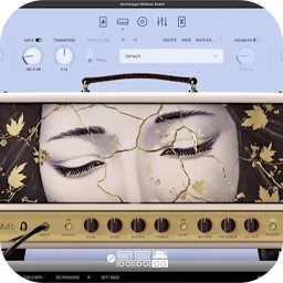 Neural DSP Archetype Mateus Asato for Mac [现代吉他富有创意和表现力的音色]