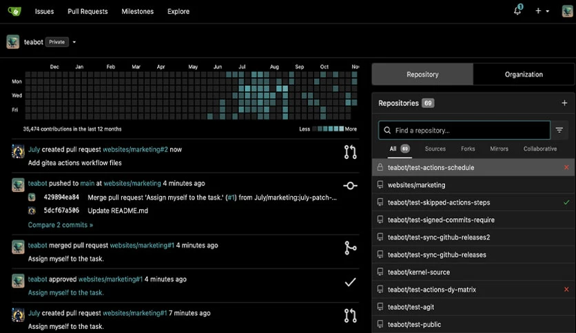 65fc9121a63a6-gitea-enterprise-screenshot2