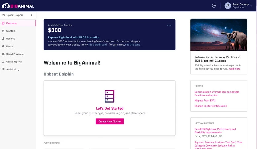 65f9d4e796dcf-postgresql-screenshot1