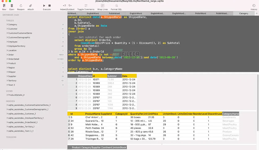 native-sqlite-manager-for-macos-free-download-01
