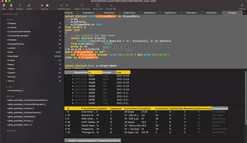 native-sqlite-manager-for-macos-free-download-02