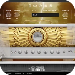 Neural DSP Archetype Rabea X for Mac [将世界一流的合成器音色带给现代吉他手]