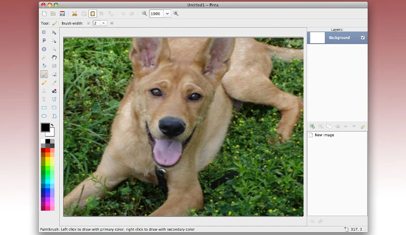 6633702cf0bee-pinta-editor-screenshot2