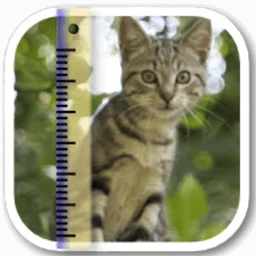 SizeMyPics for Mac [图像批处理应用程序]