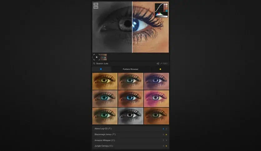 68dbb938b79b3-aescripts-luts-manager-2-screenshot1