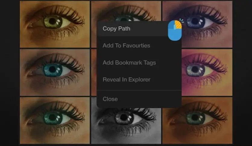 68dbb93d1e75f-aescripts-luts-manager-2-screenshot5