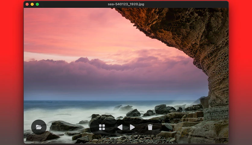 67403b9aad023-sprout2000-leafview-screenshot1