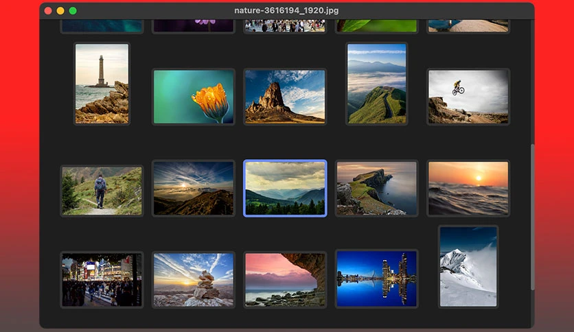 67403b9abe4f5-sprout2000-leafview-screenshot2