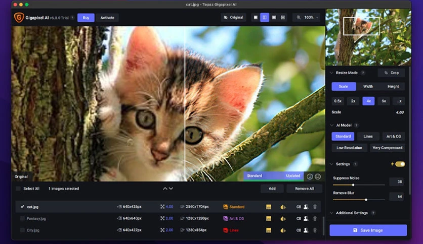64afc430c0672-topazlabs-photo-ai-screenshot2
