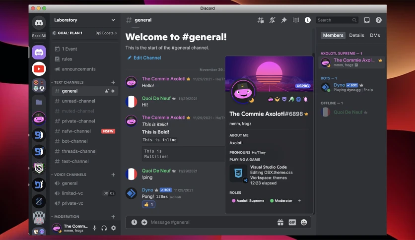 654a1b3bf2f72-discord-for-macos-screenshot2