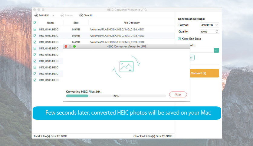 any-heic-converter-heic-to-jpg-for-macos-free-download-03
