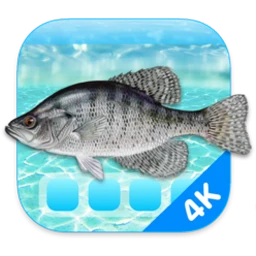 Aquarium 4K – Live Wallpaper for Mac [把你的屏幕变成水下天堂]