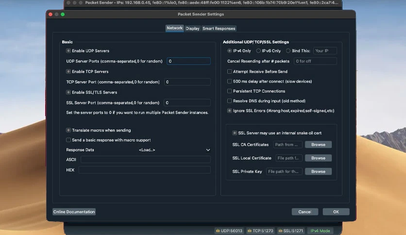 66754e0c13b9c-packet-sender-screenshot2
