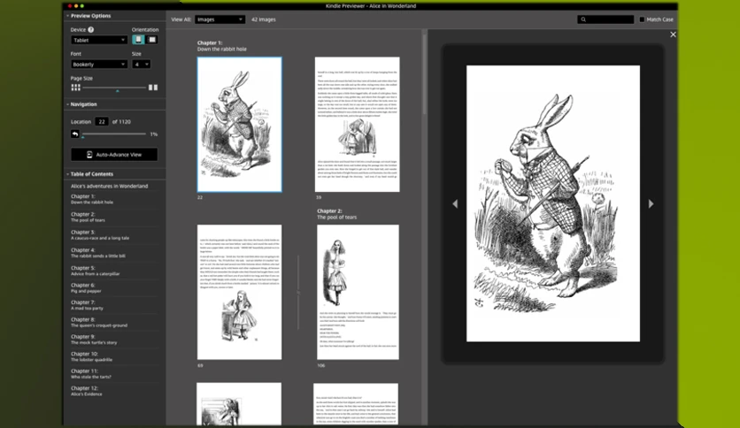 65a123ea1874d-kindle-previewer-screenshot2