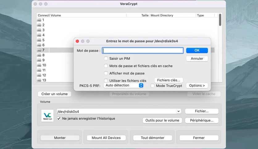 651d4dd4d1f88-vera-crypt-screenshot1
