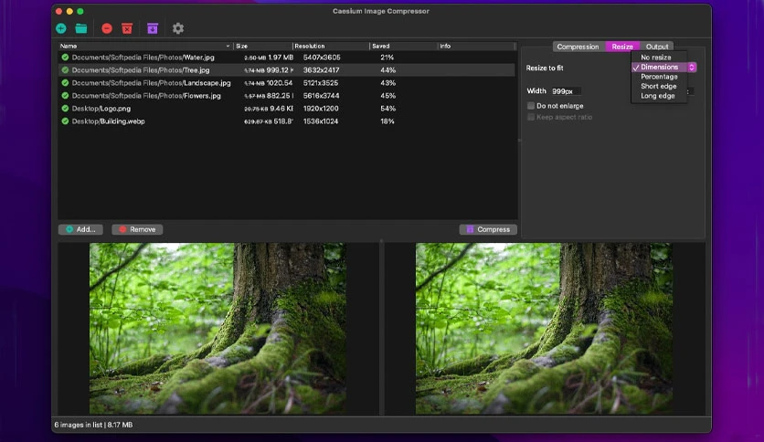 64eda0669c77d-caesium-mac-image-compressor-screenshot3