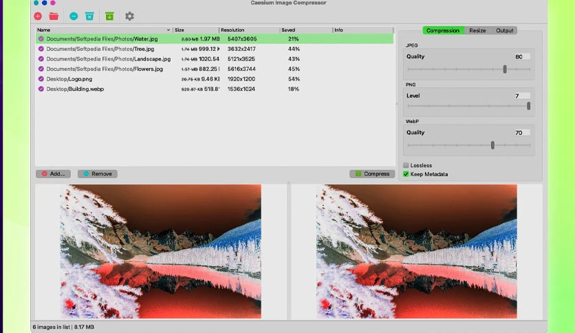 64eda06513cd5-caesium-mac-image-compressor-screenshot2