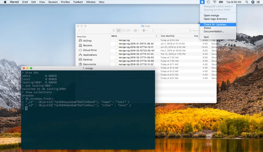 6597e4f1319ad-mongodb-app-screenshot1