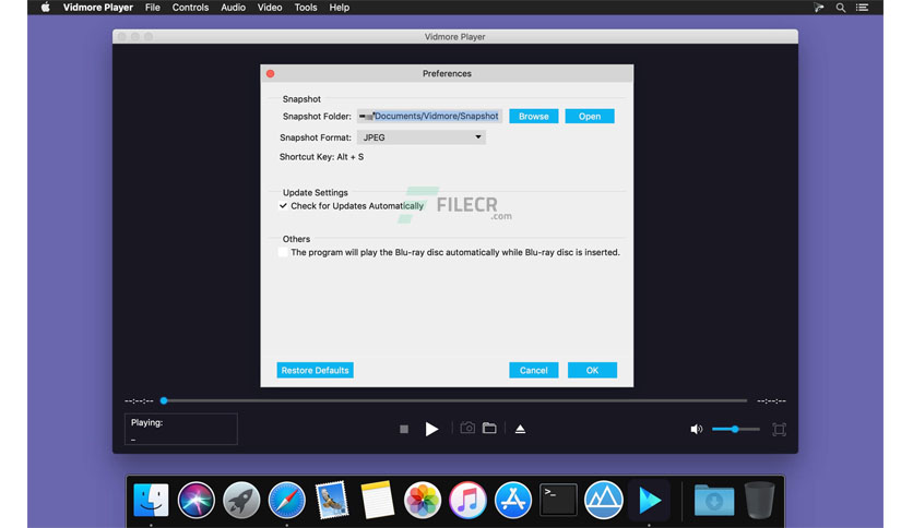 vidmore-player-free-download-01