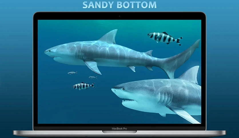 66eabe2912a79-3planesoft-sharks-3d-screenshot1