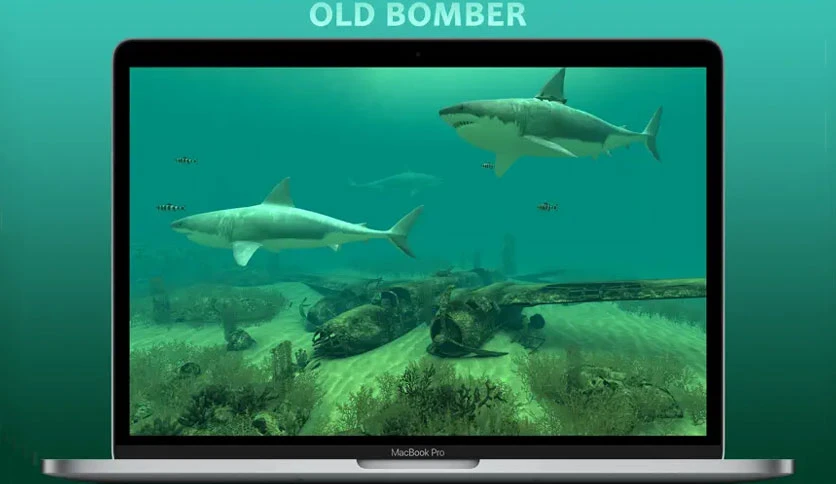 66eabe292bf14-3planesoft-sharks-3d-screenshot2