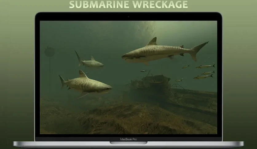 66eabe2d450e0-3planesoft-sharks-3d-screenshot3