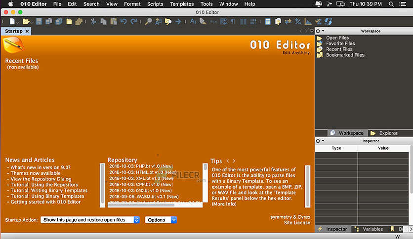 sweetscape-010-editor-for-macos-free-download-01