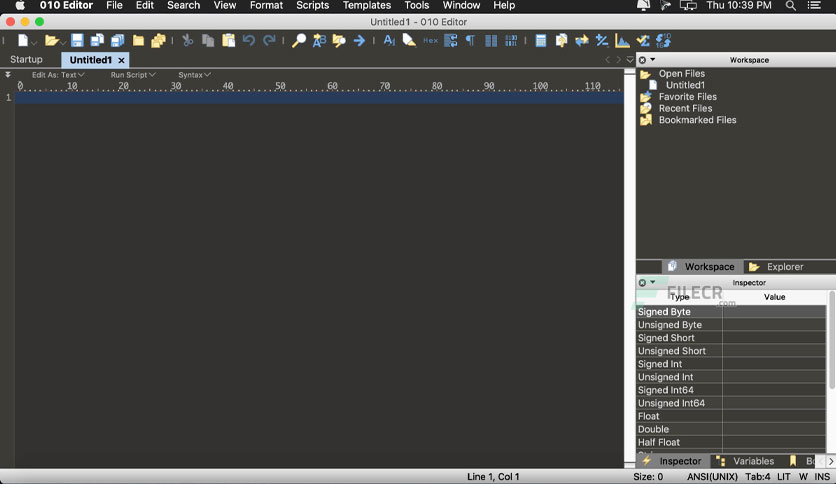 sweetscape-010-editor-for-macos-free-download-02