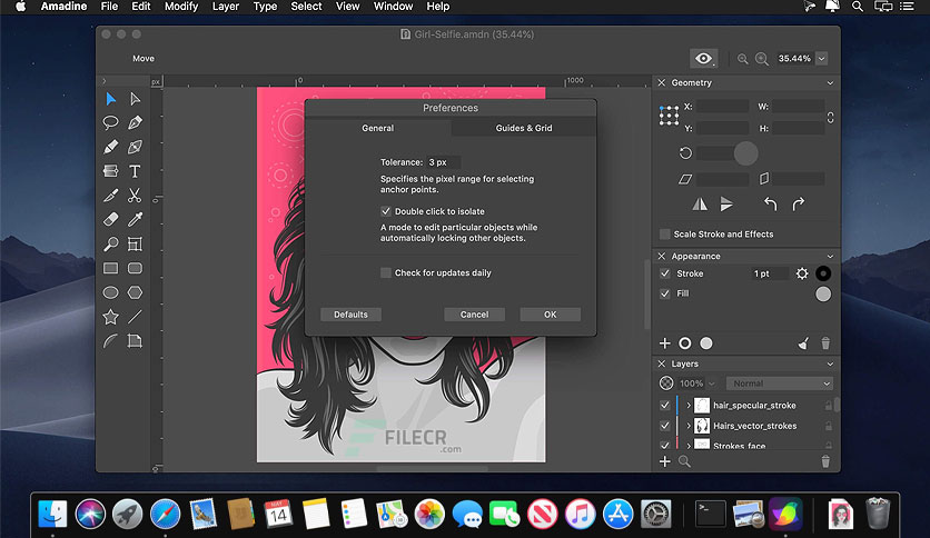 amadine-for-macos-free-download-03