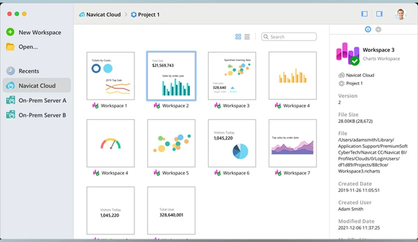 66b4694290a09-navicat-bi-screenshot1