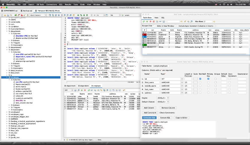 666a9ab31c4a6-richardson-soft-razorsql-screenshot3