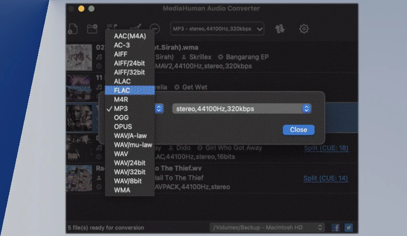 6576c8d16db4c-media-human-audio-converter-screenshot2