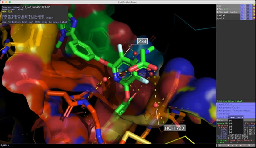 6641d9a4f0a85-schrodinger-pymol-screenshot1