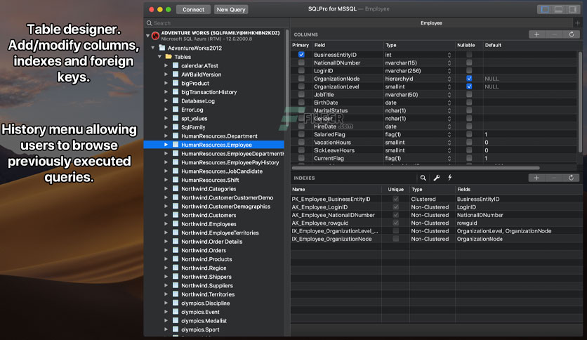 sqlpro-for-mssql-for-macos-free-download-03