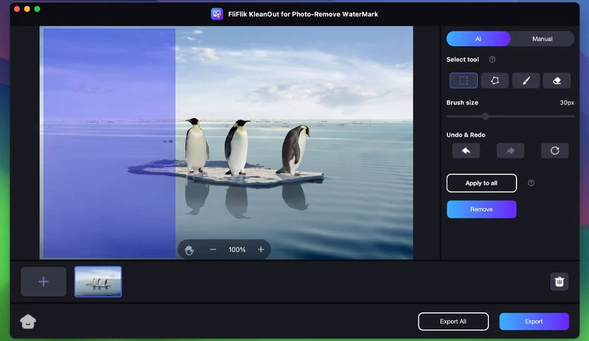 66dfe400355c0-fliflik-kleanout-for-photo-2-screenshot2